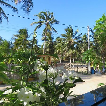 Villa Dos Coqueirais Icaraí Dış mekan fotoğraf